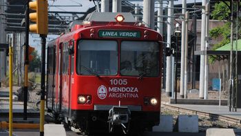 El servicio del Metrotranvía fue interrumpido por la caída de árboles en el cableado eléctrico