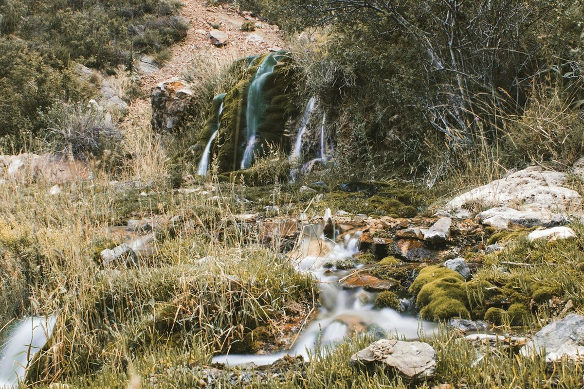 Cada 22 de marzo, el Día Mundial del Agua nos invita a reflexionar sobre la importancia de este recurso esencial para la vida. Cada 22 de marzo, el Día Mundial del Agua nos invita a reflexionar sobre la importancia de este recurso esencial para la vida.