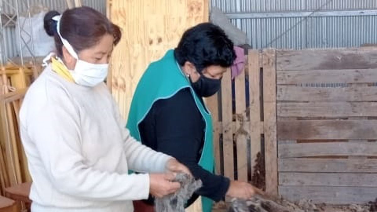 El arte de hilar de las mujeres huarpes