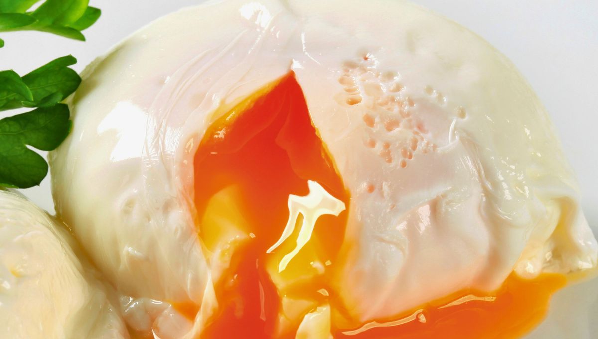 Con un par de cucharadas de vinagre se puede obtener el huevo poché perfecto. Con un par de cucharadas de vinagre se puede obtener el huevo poché perfecto.