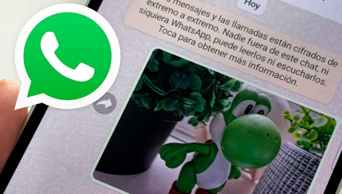 El eficaz truco para restaurar los mensajes y fotos de la papelera de WhatsApp