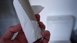 Descubrí cómo reutilizar tubos de papel higiénico. Descubrí cómo reutilizar tubos de papel higiénico.