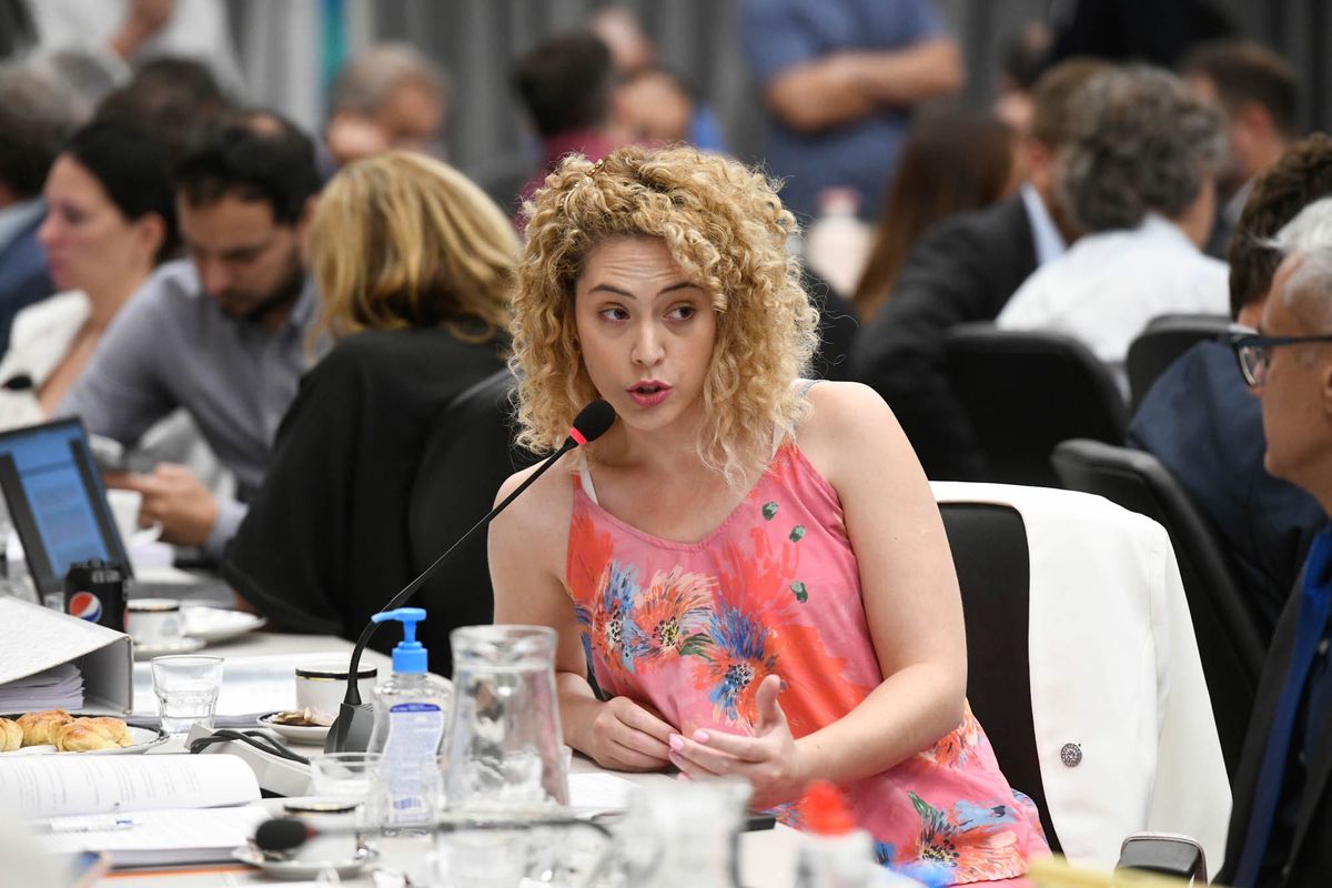 La diputada Arrieta durante uno de los últimos debates de la Ley Bases en comisiones.