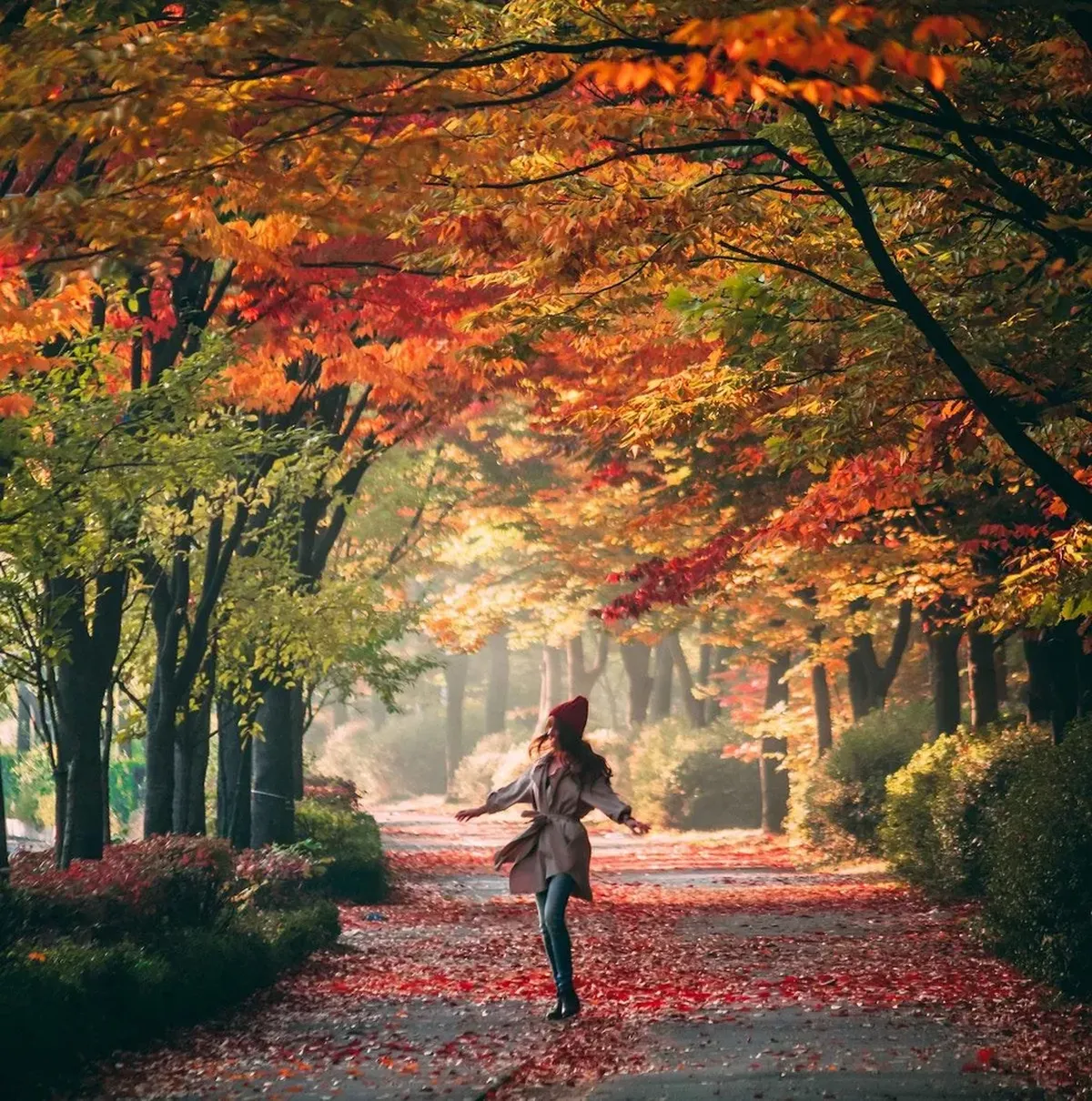 Washington cuenta con paisajes de ensueño. Washington cuenta con paisajes de ensueño.