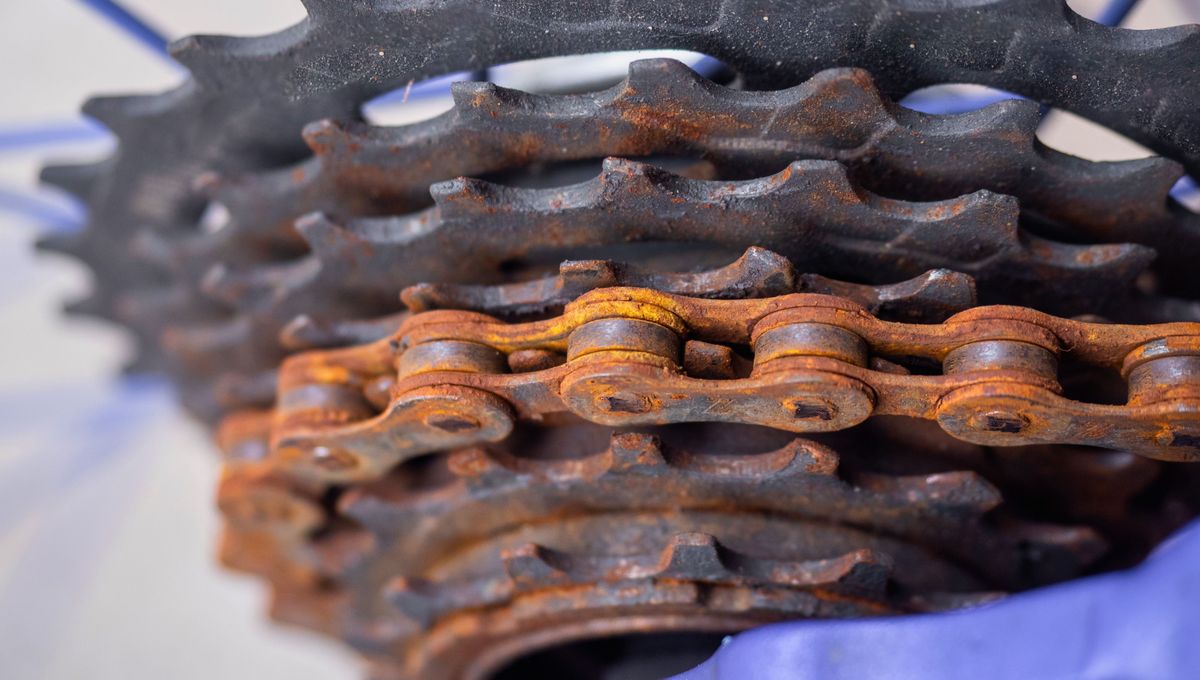 Cómo sacar los pegotes de grasa de la cadena de la bicicleta: usando vinagre