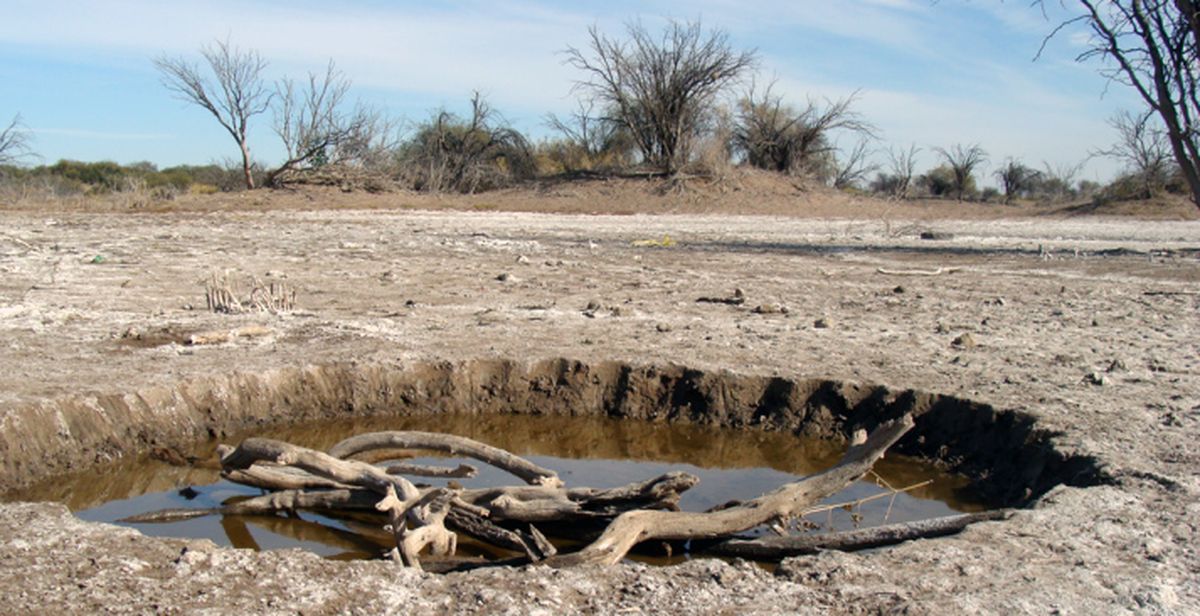 Cambio climático. El fenómeno de calentamiento responde directamente a las actividades humanas