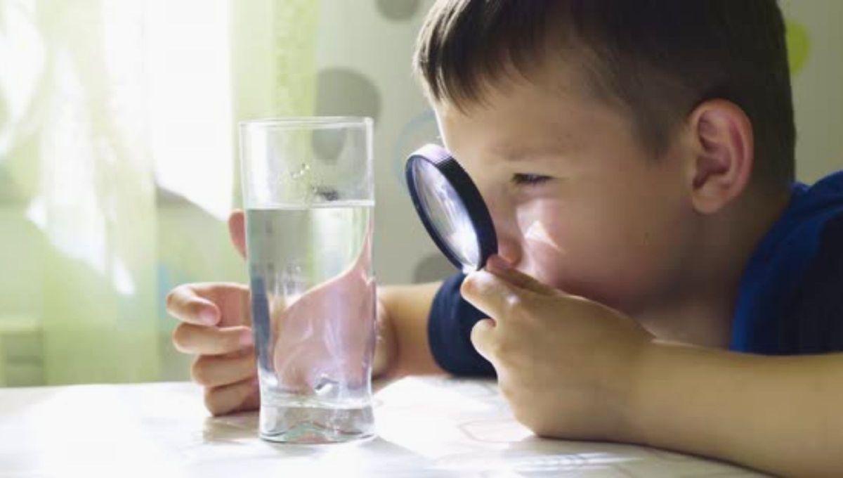 El acertijo que desafía la mente y la lógica: cómo poner algo dentro de un vaso sin sacar agua