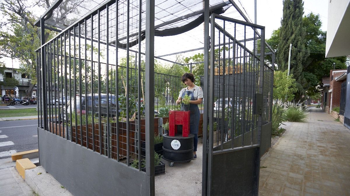 Todo es producción orgánica porque no maneja químicos. Todo es producción orgánica porque no maneja químicos.