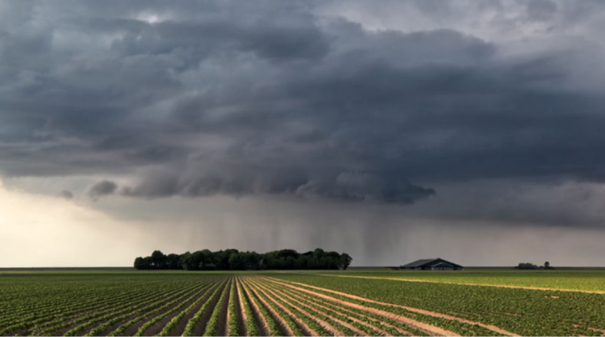 El fenómeno climático generará alta humedad y registros de lluvia superiores a las marcas históricas en Mendoza. El fenómeno climático generará alta humedad y registros de lluvia superiores a las marcas históricas en Mendoza.