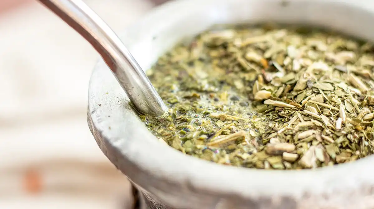 Mate rico y saludable. Consejos para que puedas elegir la mejor yerba mate. 