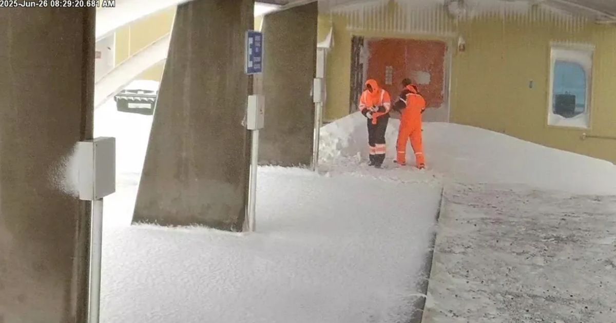 Los científicos tuvieron que actuar en medio de las nevadas. Los científicos tuvieron que actuar en medio de las nevadas.