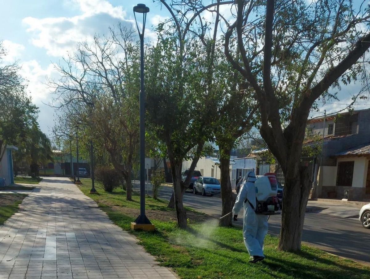 El Municipio de Maipú está llevando adelante una campaña de concientización para prevenir el dengue.