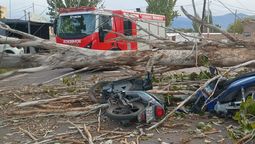 Un hombre murió y otro quedó gravemente herido por la caída de un árbol en Las Heras, lo que ocurrió producto del fuerte viento. Imagen: Ministerio de Seguridad.