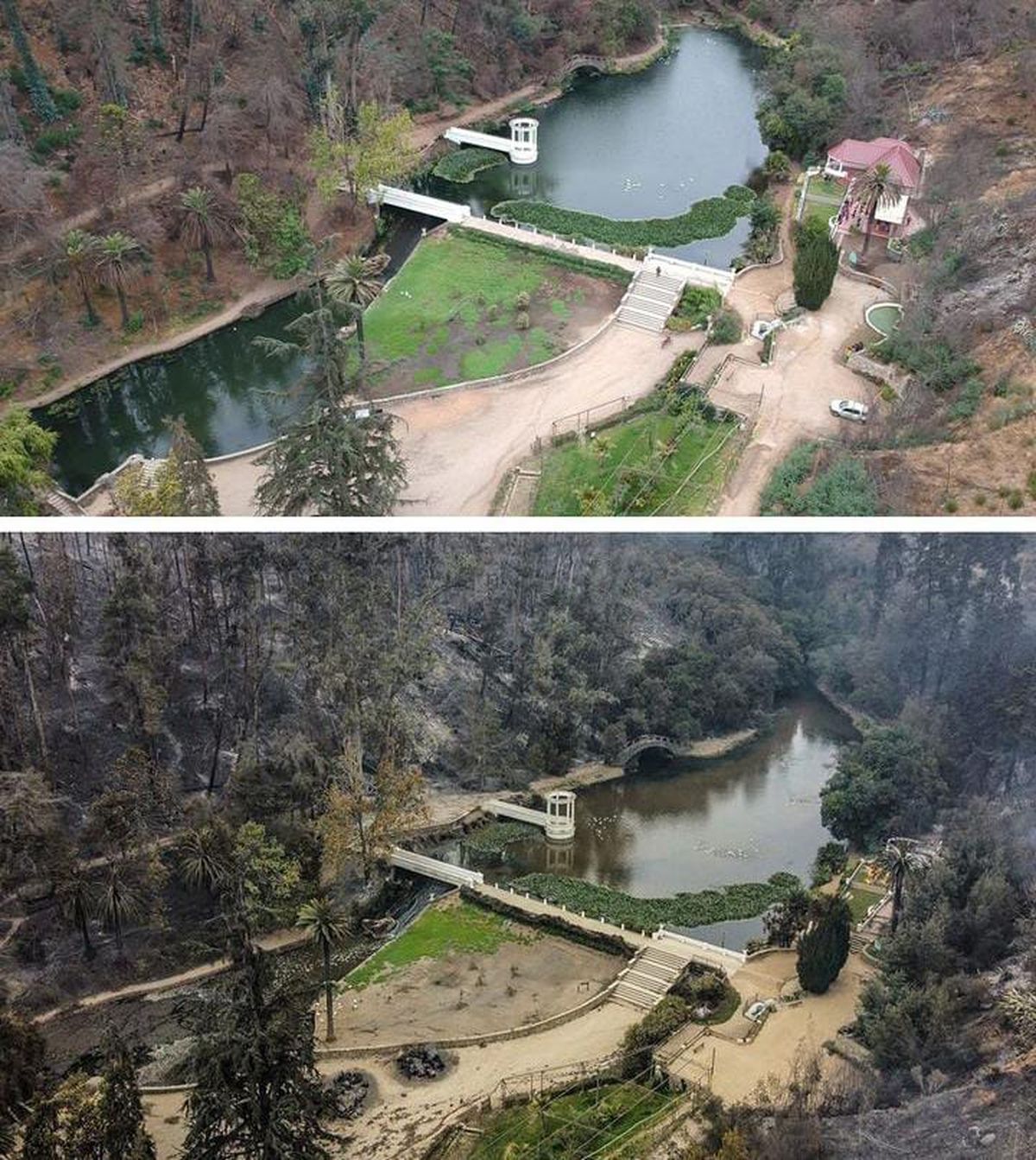 Si quieres conocer de qué manera trabaja el Jardín Botánico no dudes de seguirlos en su Instagram. Si quieres conocer de qué manera trabaja el Jardín Botánico no dudes de seguirlos en su Instagram.
