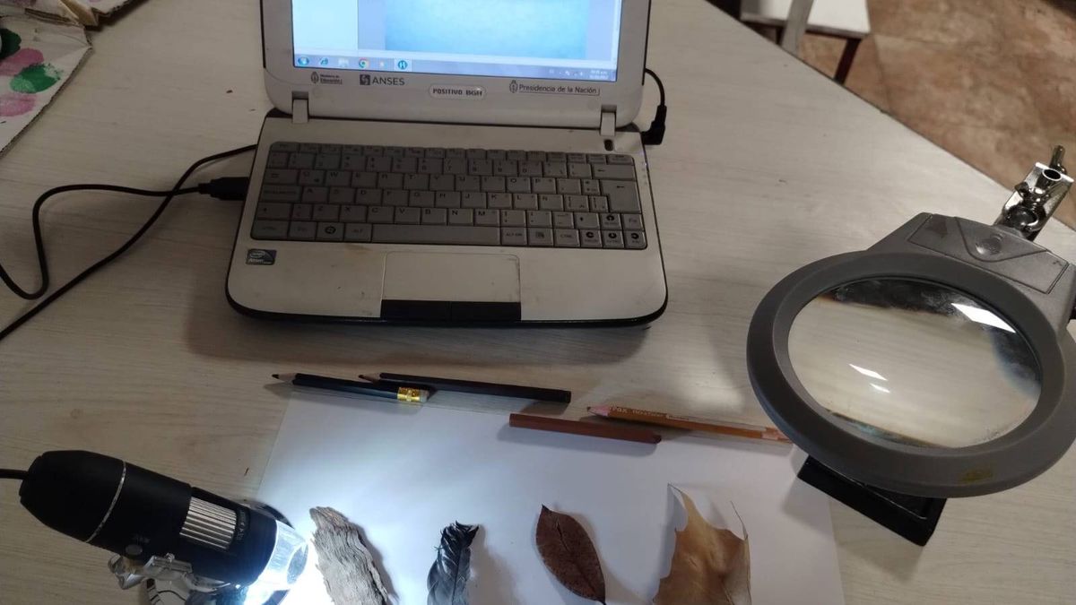 En el jardín Antisopa, el niño es siempre protagonista y las clases se dictan en distintos espacios. En el jardín Antisopa, el niño es siempre protagonista y las clases se dictan en distintos espacios.