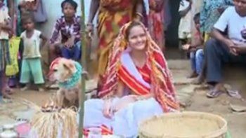 Video: una adolescente se casó con un perro para romper una maldición