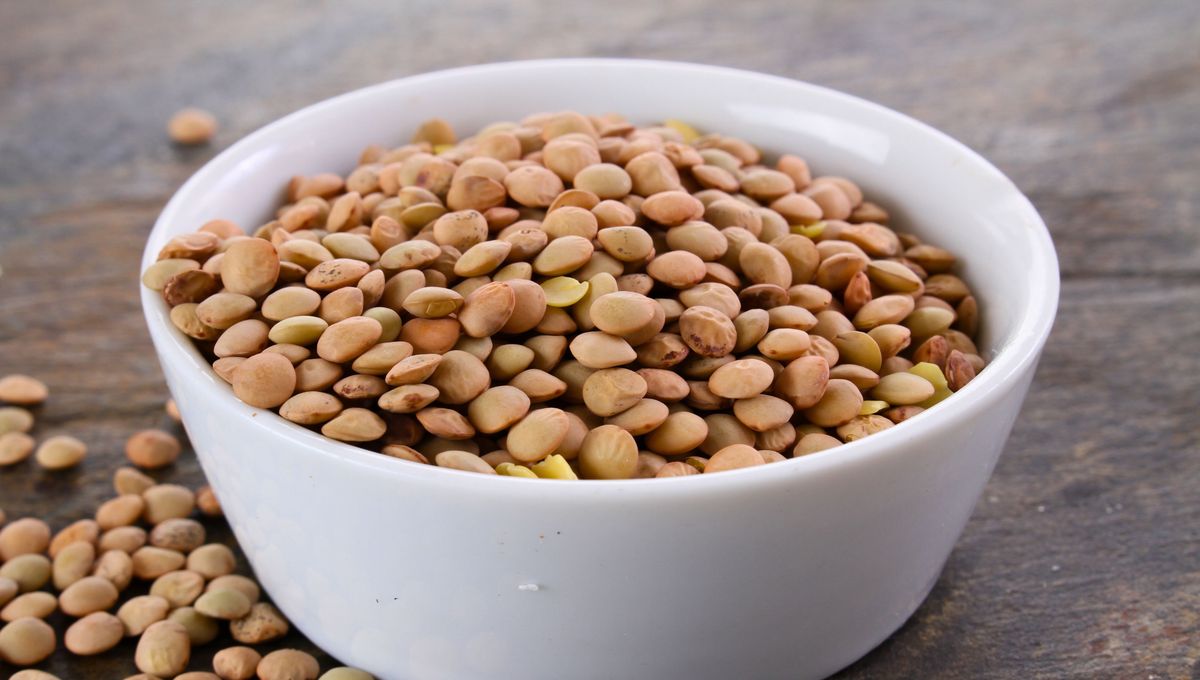 La lenteja es un alimento ideal para el invierno. La lenteja es un alimento ideal para el invierno. 
