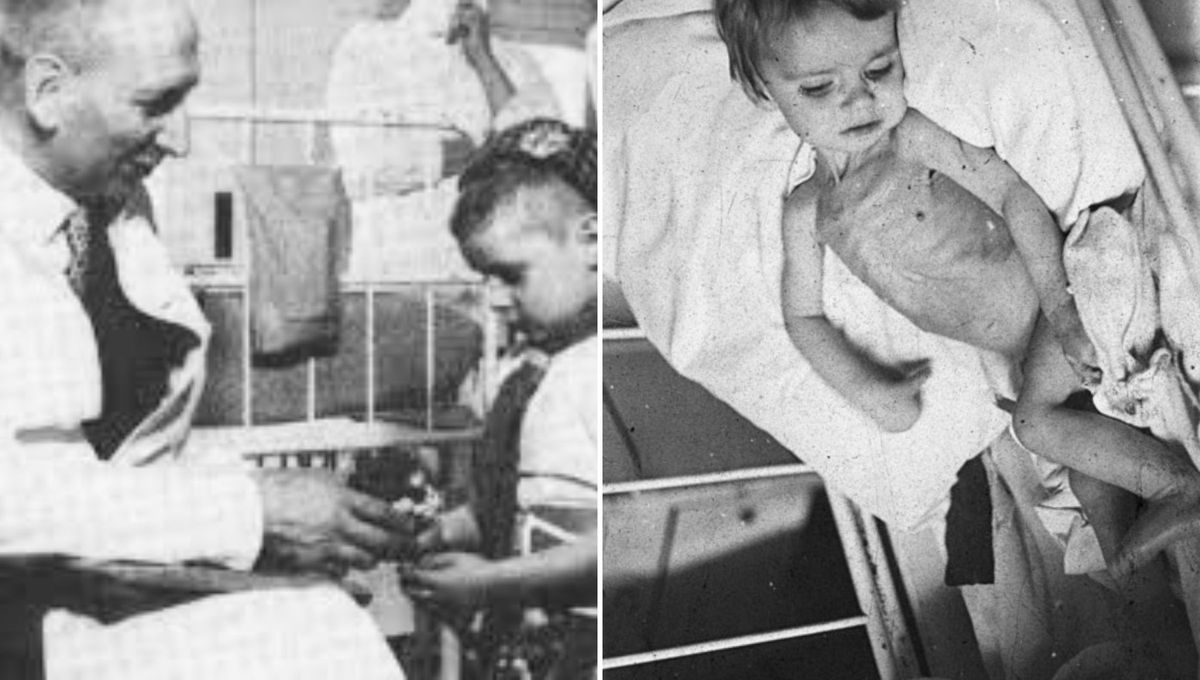 Antes de aquel episodio moría uno de cada tres niños de los que se sospechaba enfermedad celíaca, pero el invierno del hambre consiguió que ese porcentaje cayese a cero. Foto Xataka Antes de aquel episodio moría uno de cada tres niños de los que se sospechaba enfermedad celíaca, pero el invierno del hambre consiguió que ese porcentaje cayese a cero. Foto Xataka