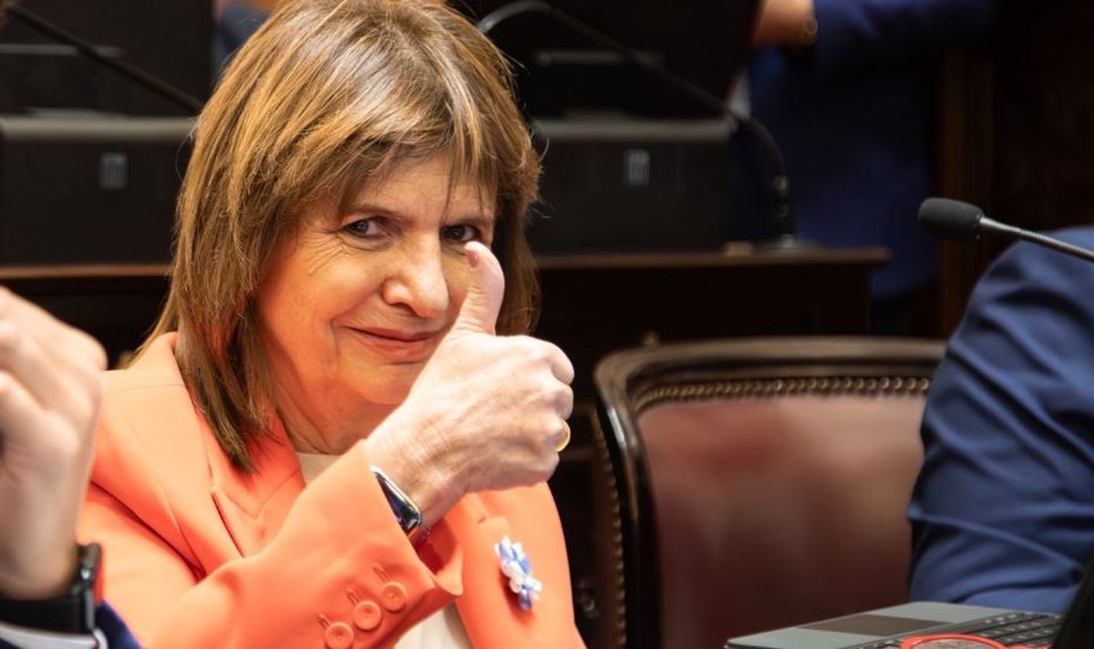 La senadora Patricia Bullrich. 
