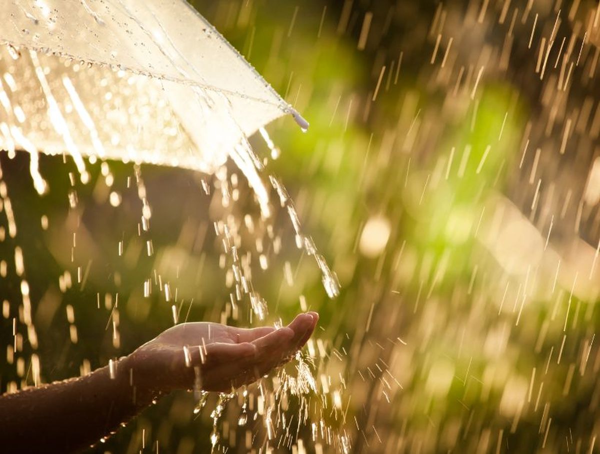 Tomá las medidas necesarias para cuidarte. Tomá las medidas necesarias para cuidarte.