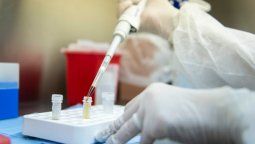 Coronavirus en Argentina: confirmaron 58 muertos en las últimas 24 horas