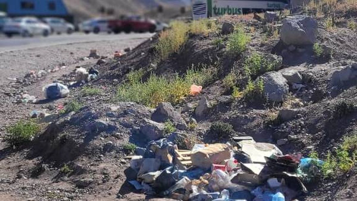 La basura arrojada a la vera de la ruta en cercanías de la aduana argentina.