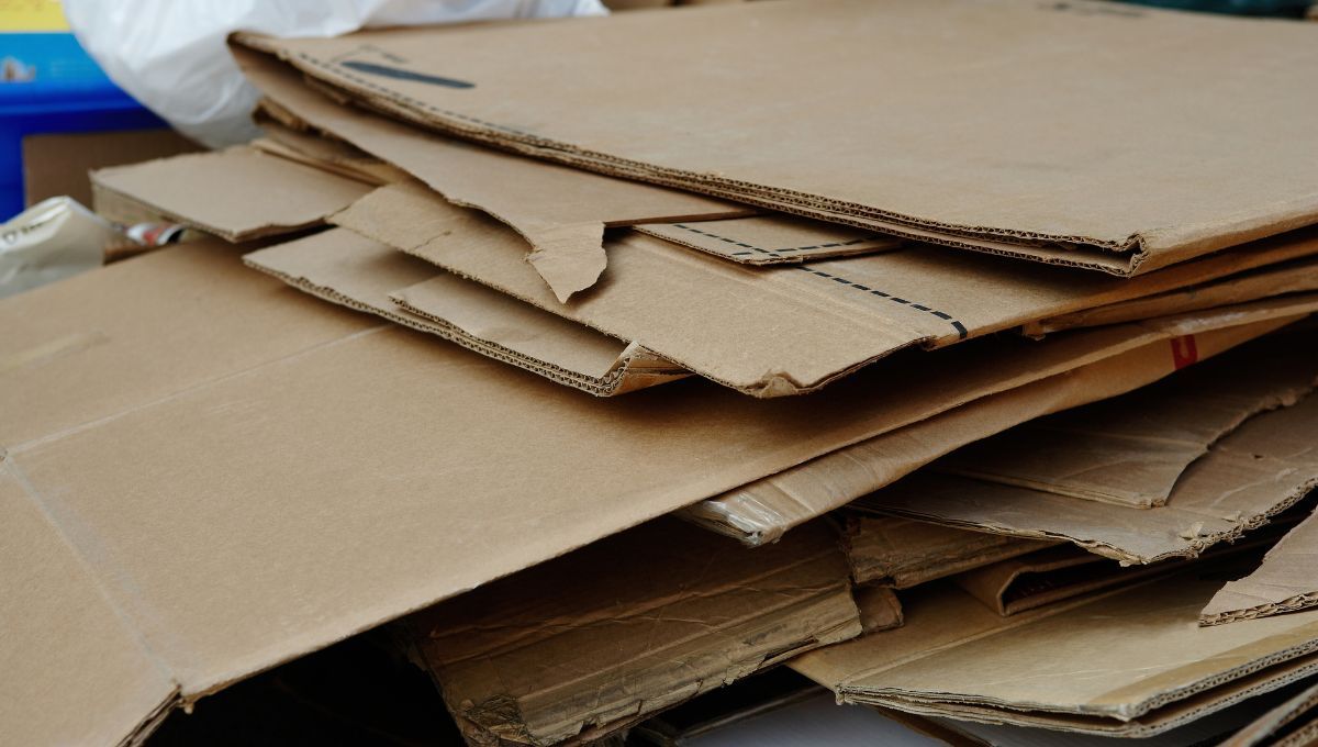 Aprend&eacute; a crear una panera con un trozo de cart&oacute;n.&nbsp;