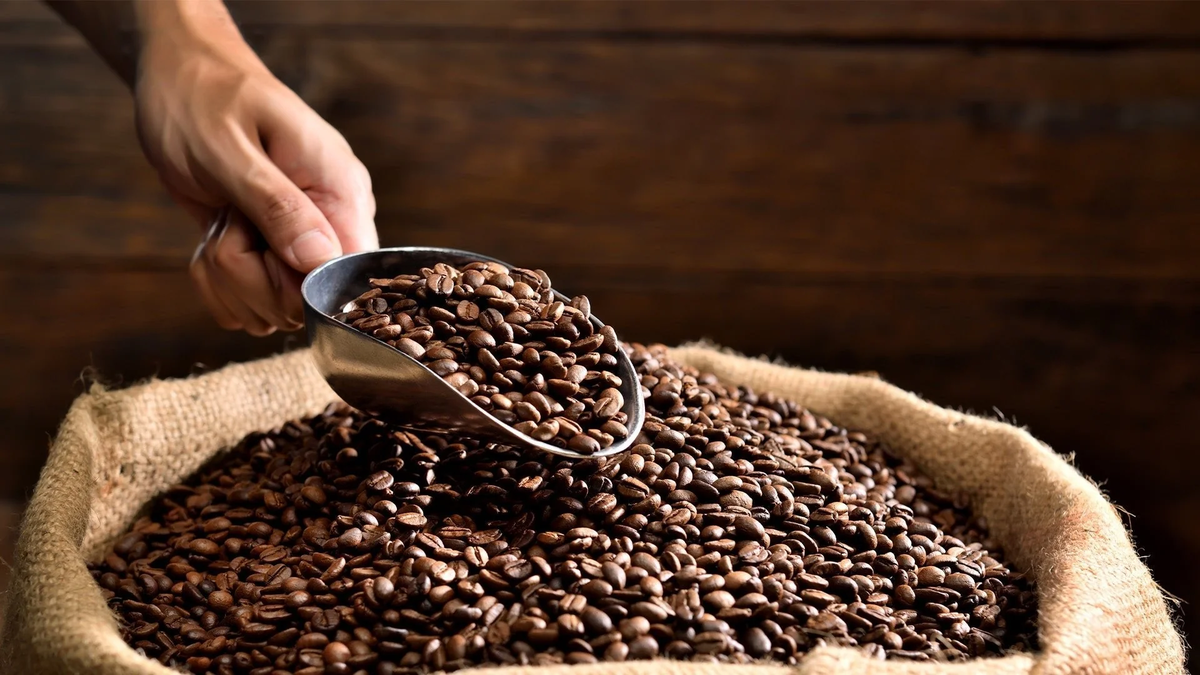 En Sudamérica, el café no es solo un producto: es identidad, historia y orgullo nacional 