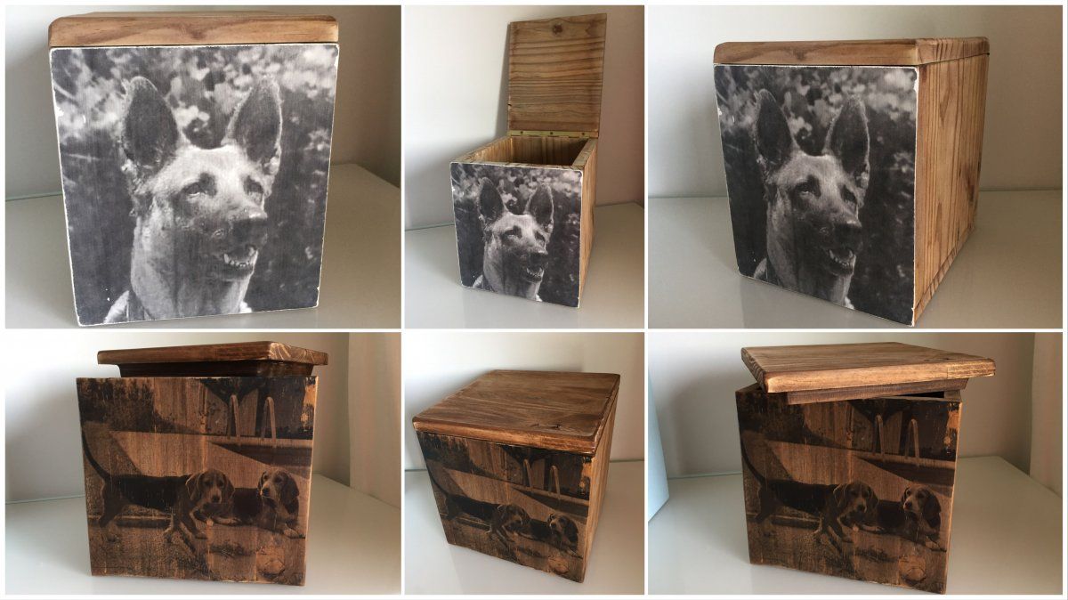 La primera. Inauguraron la primera funeraria para mascotas.