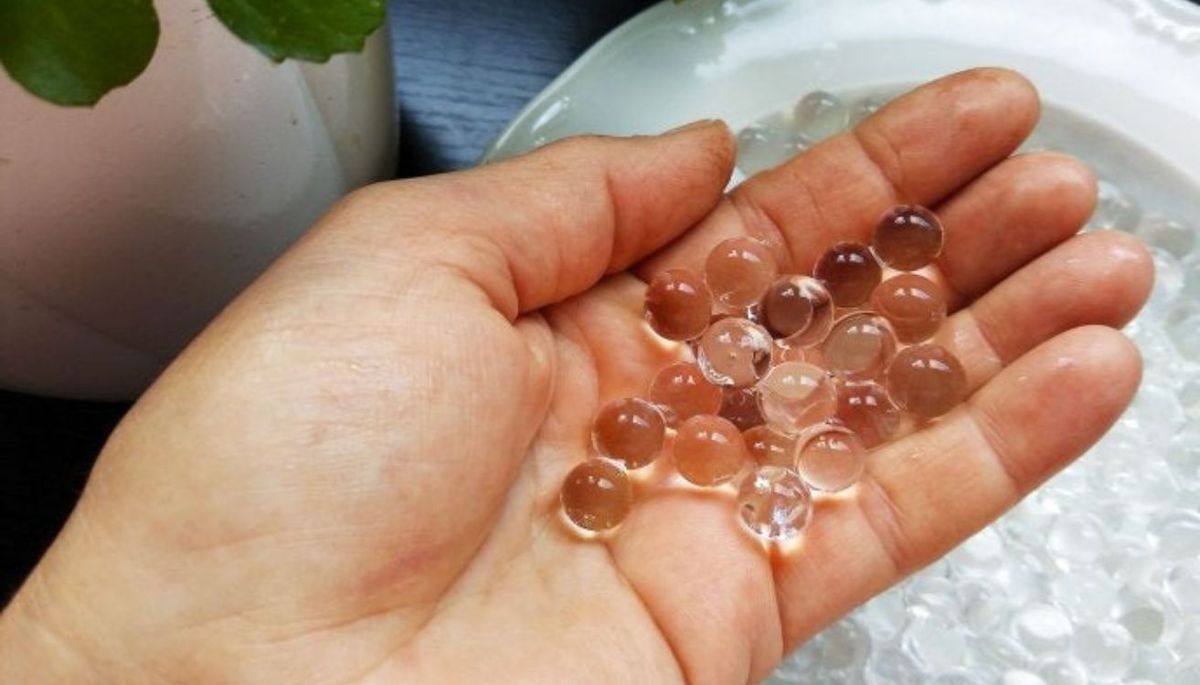 Las perlas de hidrogel son pequeñas esferas que crecen al sumergirlas en agua. Las perlas de hidrogel son pequeñas esferas que crecen al sumergirlas en agua.