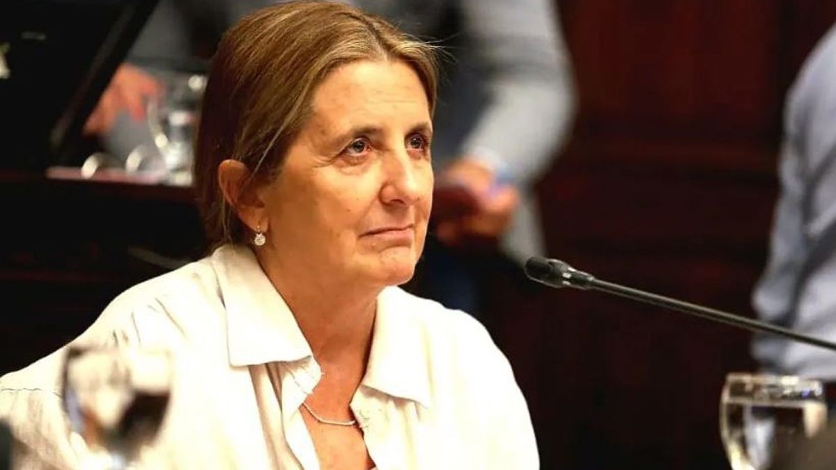 La exministra de Salud Claudia Najul en su banca como senadora. También se expresó tras los dichos de Hebe Casado. La exministra de Salud Claudia Najul en su banca como senadora. También se expresó tras los dichos de Hebe Casado.