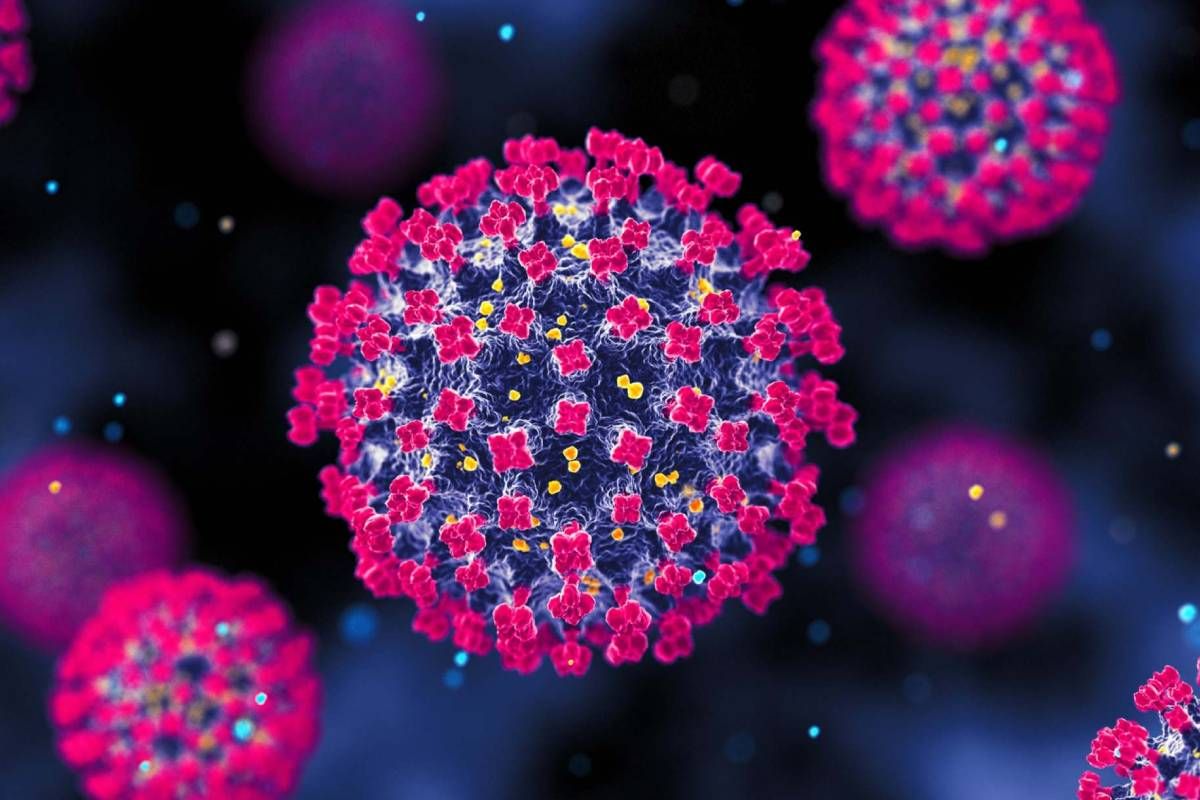 India refuerza controles sanitarios tras nuevos casos del virus Nipah. India refuerza controles sanitarios tras nuevos casos del virus Nipah.