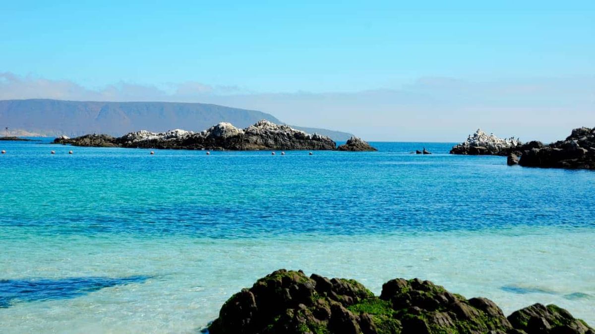 La playa chilena con aguas turquesas que es definida como una de las