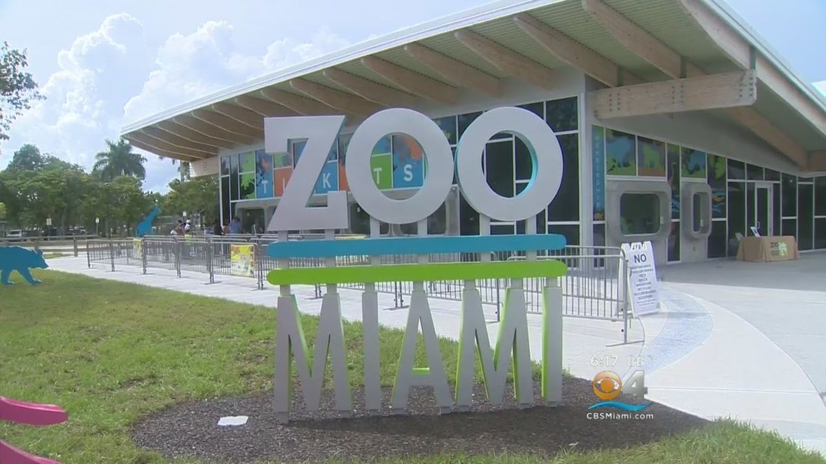 El Zoológico de Miami reafirma su compromiso con la preservación de la biodiversidad global y su papel como centro de educación y conservación. El Zoológico de Miami reafirma su compromiso con la preservación de la biodiversidad global y su papel como centro de educación y conservación.