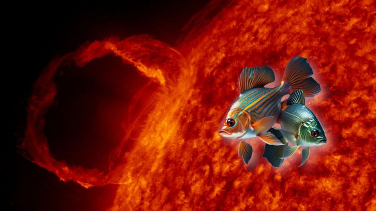 Astrología: los 5 signos iluminados con la entrada del Sol en Piscis