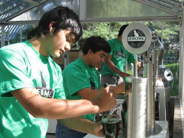 San Patricio en El Salto