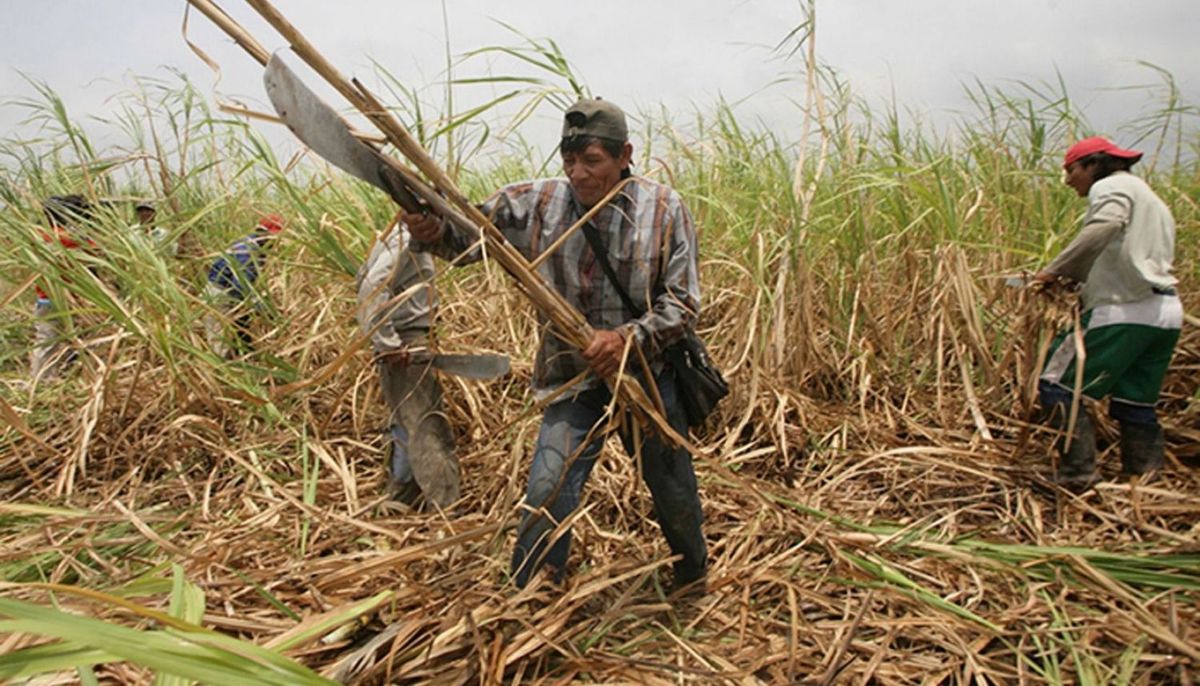 Un obrero del campo dijo que fue atacado por una fuerza paranormal y mostró las marcas.