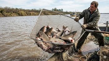 El pez de China que invade un icónico río de Sudamérica: la solución es electrocutarlo El pez de China que invade un icónico río de Sudamérica: la solución es electrocutarlo