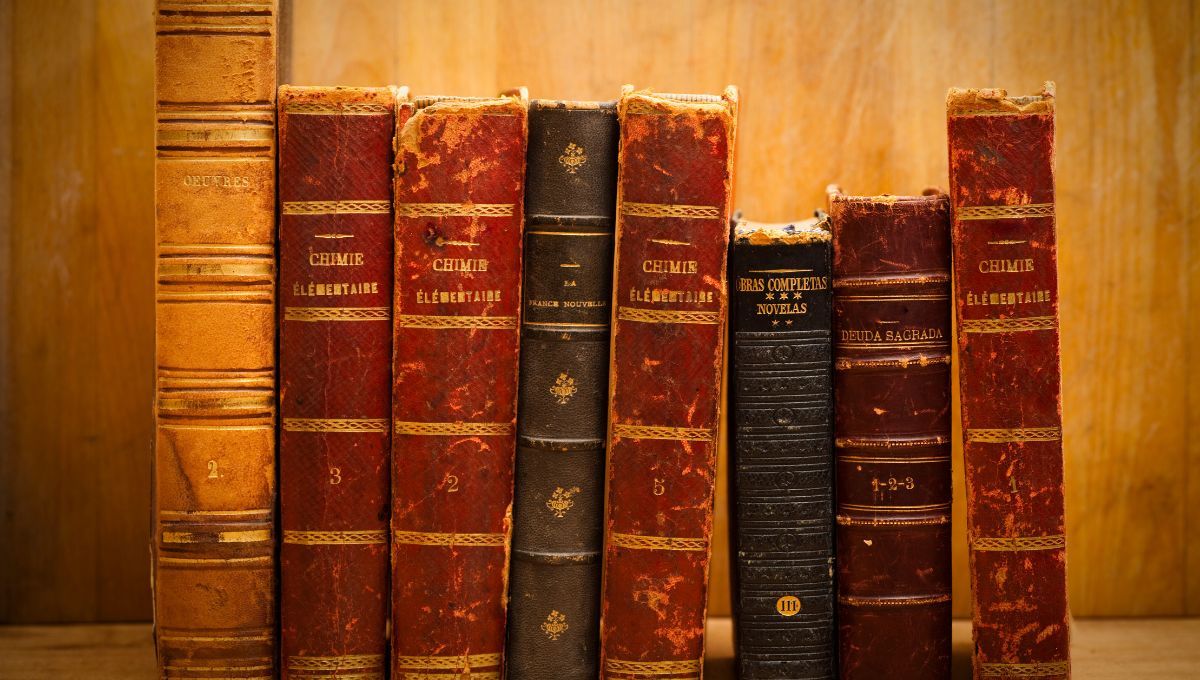 Transforma libros viejos en esta hermosa creación para decorar tu hogar