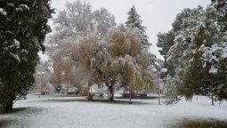 El servicio meteorológico emitió tres alertas para Mendoza por vientos y nevadas