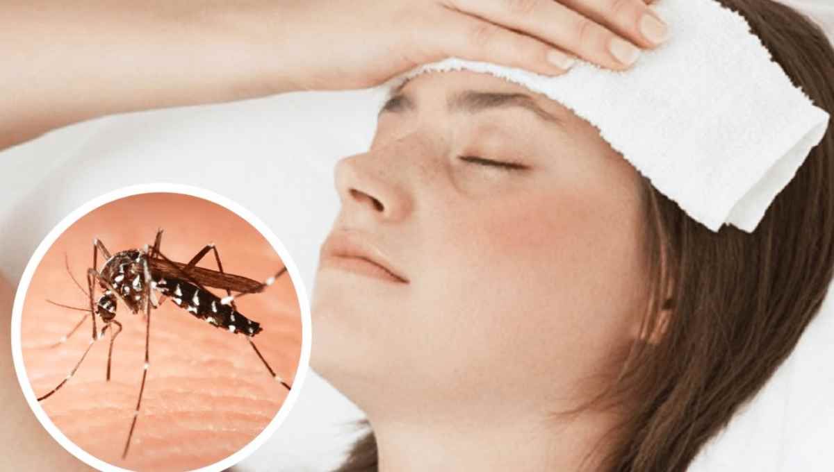 DENGUE: cuáles son los SÍNTOMAS, cómo prevenirlo y evitar las PICADURAS de  mosquitos