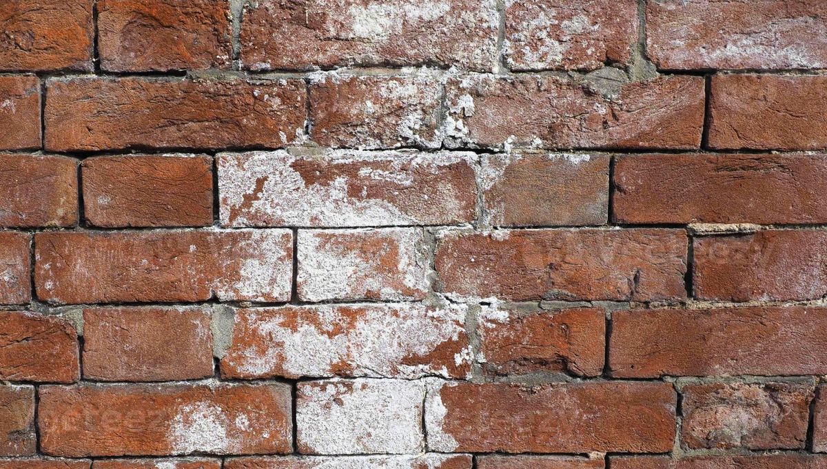 Este fenómeno puede ser un síntoma de problemas graves de humedad en el hogar. Este fenómeno puede ser un síntoma de problemas graves de humedad en el hogar. 