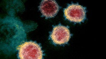 Coronavirus: científicos franceses aseguran que puede sobrevivir a altas temperaturas