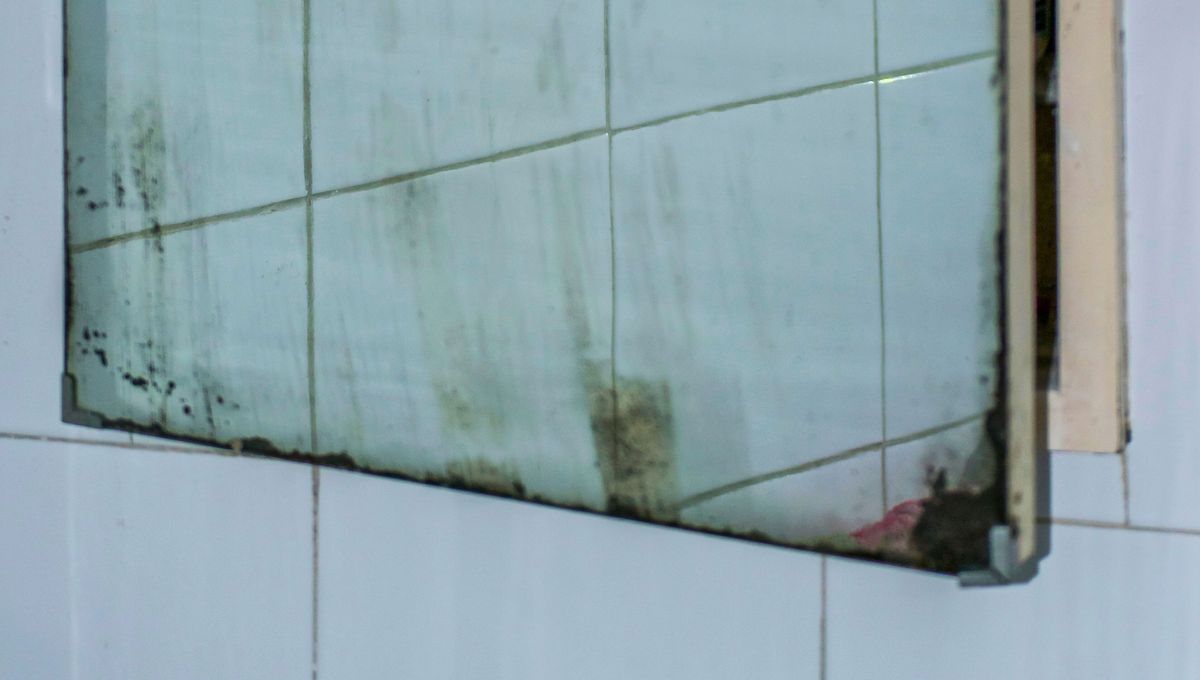 Los espejos mejoran el ambiente general del baño y las habitaciones, por eso siempre deberían estar impecables. Los espejos mejoran el ambiente general del baño y las habitaciones, por eso siempre deberían estar impecables. 