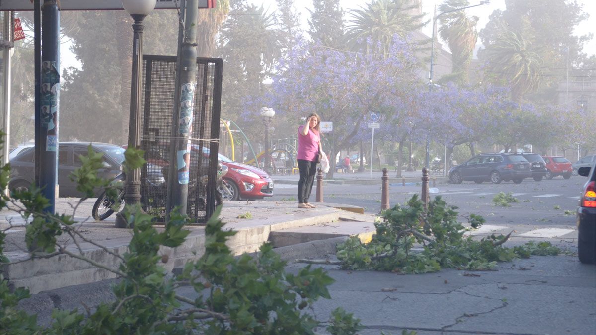 A qué hora define la DGE si por viento Zonda se suspenden las clases en los turnos tarde y noche