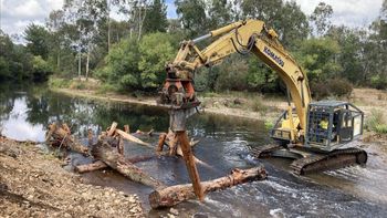 Llenaron un río con troncos de árboles y terminaron duplicando la población de peces