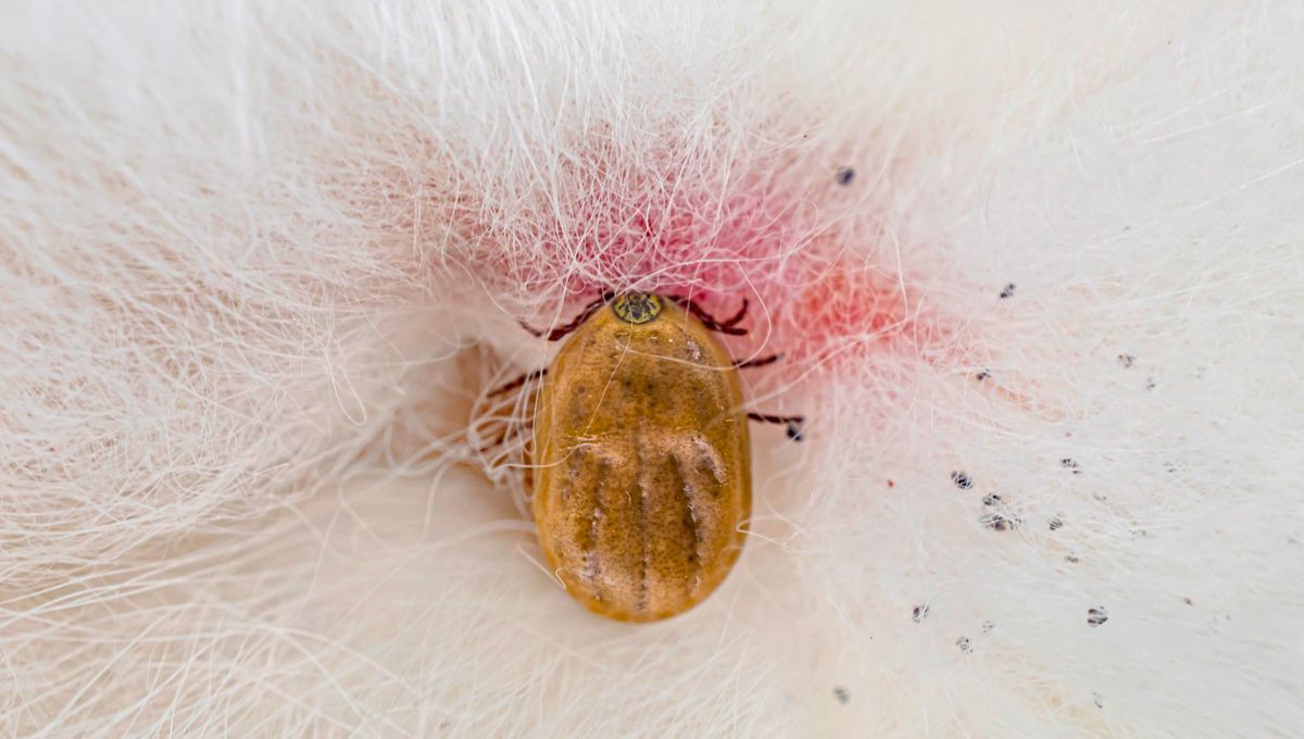 Qué significa encontrar una 