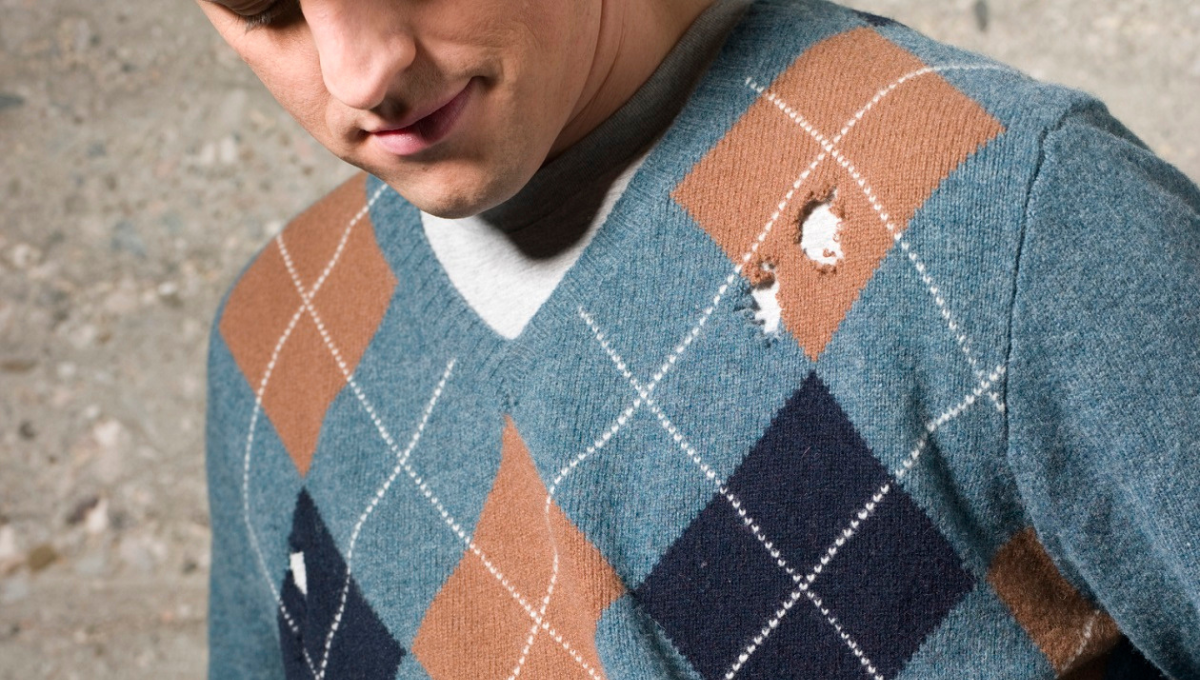 Las polillas suelen causar mayor daño en la ropa o las paredes del hogar