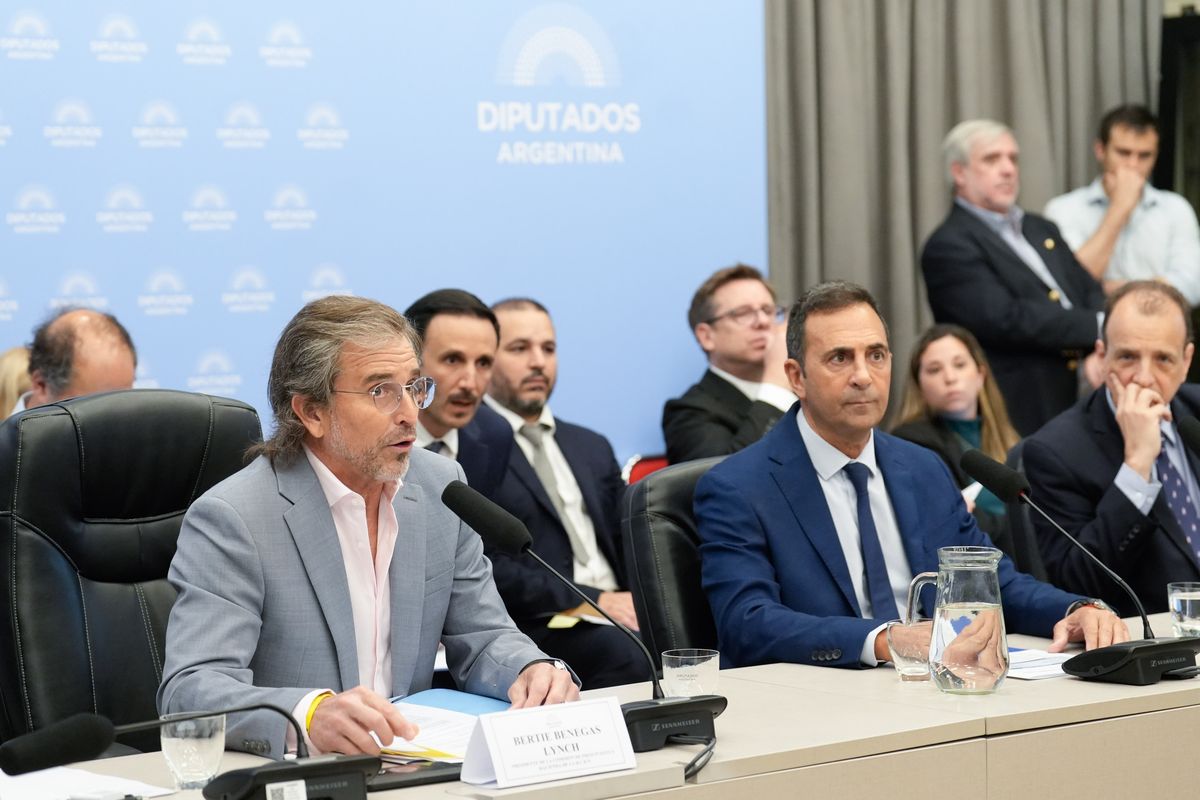 Bertie Benegas Lynch y Julio Cordero defendieron el proyecto de reforma laboral de Javier Milei