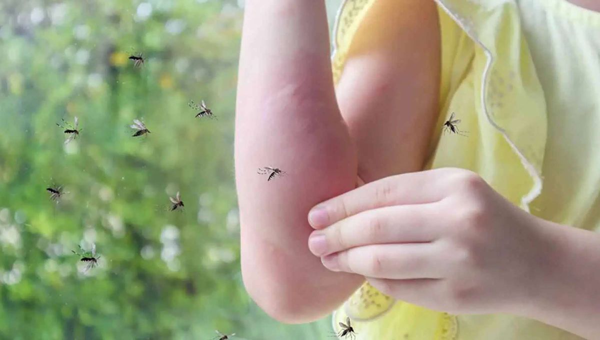 Descubrimiento sobre los mosquitos sorprende a los científicos y asusta a toda la humanidad.